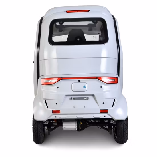 熱い販売の三輪電動バイク自動人力車