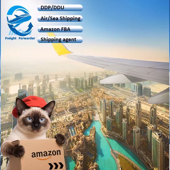EコマースAmazon FBAサービス/1688倉庫/中国からのアリババ配送サービス